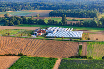 Vue aérienne de Sandhof avec la crèche Rothenbücher à Herxheim bei Landau dans le département Rhénanie-Palatinat, Allemagne