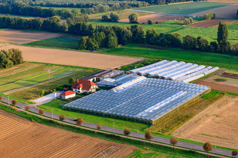 Photographie aérienne de Sandhof avec la crèche Rothenbücher à Herxheim bei Landau dans le département Rhénanie-Palatinat, Allemagne