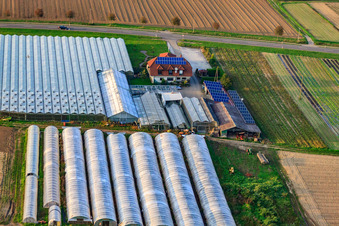 Vue oblique de Sandhof avec la crèche Rothenbücher à Herxheim bei Landau dans le département Rhénanie-Palatinat, Allemagne