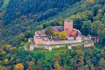 Vue aérienne de Ruines du château de Landeck à Klingenmünster dans le département Rhénanie-Palatinat, Allemagne