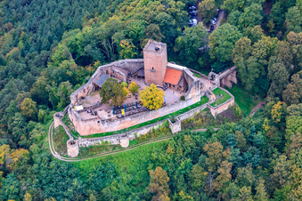 Photographie aérienne de Ruines du château de Landeck à Klingenmünster dans le département Rhénanie-Palatinat, Allemagne