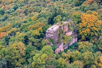 Vue aérienne de Ruines du château de Neukastell à Leinsweiler dans le département Rhénanie-Palatinat, Allemagne