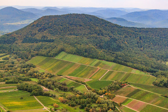 Vue aérienne de Vignobles sous le Hohenberg à Birkweiler dans le département Rhénanie-Palatinat, Allemagne