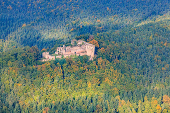 Vue oblique de Ruines du château de Neuscharfeneck à Flemlingen dans le département Rhénanie-Palatinat, Allemagne