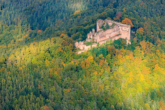 Ruines du château de Neuscharfeneck à Flemlingen dans le département Rhénanie-Palatinat, Allemagne d'en haut