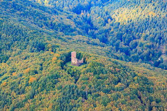 Vue oblique de Ruines du château de Ramburg à Ramberg dans le département Rhénanie-Palatinat, Allemagne