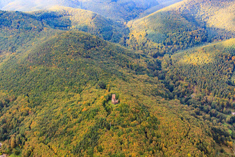 Ruines du château de Ramburg à Ramberg dans le département Rhénanie-Palatinat, Allemagne d'en haut