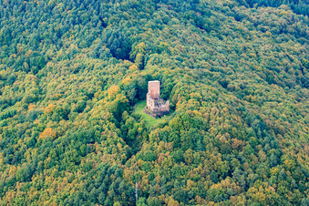 Ruines du château de Ramburg à Ramberg dans le département Rhénanie-Palatinat, Allemagne hors des airs