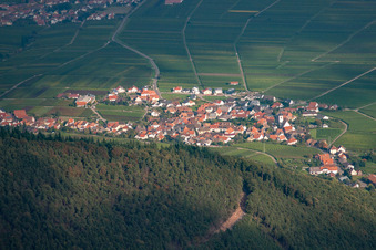 Vue aérienne de Village viticole de l'ouest à Weyher in der Pfalz dans le département Rhénanie-Palatinat, Allemagne