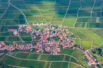 Vue aérienne de Village viticole entre les vignes de l'ouest à Weyher in der Pfalz dans le département Rhénanie-Palatinat, Allemagne