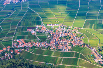 Vue aérienne de Village viticole entre les vignes de l'ouest à Weyher in der Pfalz dans le département Rhénanie-Palatinat, Allemagne