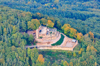 Image drone de Ruines du château de Rietburg à Rhodt unter Rietburg dans le département Rhénanie-Palatinat, Allemagne
