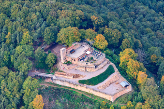 Ruines du château de Rietburg à Rhodt unter Rietburg dans le département Rhénanie-Palatinat, Allemagne du point de vue du drone