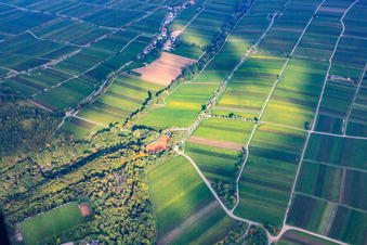 Vue aérienne de Terrain de tennis du TC Grün-Weiß Edenkoben 1929 eV à Edenkoben dans le département Rhénanie-Palatinat, Allemagne