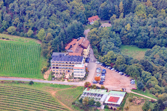 Vue aérienne de Hôtel Arens à 327 m d'altitude (anciennement Hôtel Haus am Weinberg) à le quartier SaintMartin in Sankt Martin dans le département Rhénanie-Palatinat, Allemagne
