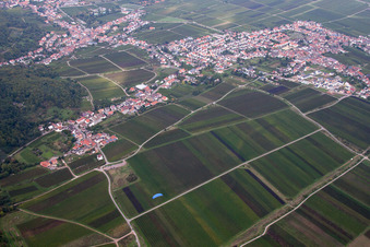 Vue d'oiseau de Quartier Diedesfeld in Neustadt an der Weinstraße dans le département Rhénanie-Palatinat, Allemagne