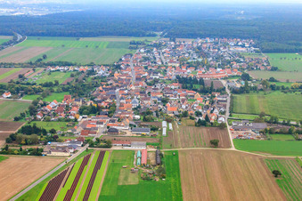 Vue aérienne de Vue de la ville depuis le nord à Westheim dans le département Rhénanie-Palatinat, Allemagne