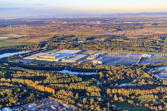 Centre logistique mondial Mercedes-Benz sur l'île de Grün à Germersheim dans le département Rhénanie-Palatinat, Allemagne vue d'en haut