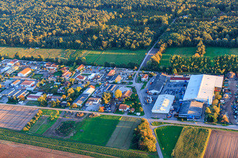 Vue aérienne de Zone industrielle Am Oberen Griesweg avec succursale Riwald Electronics Recycling GmbH Lustadt à le quartier Niederlustadt in Lustadt dans le département Rhénanie-Palatinat, Allemagne