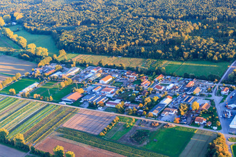 Vue aérienne de Zone industrielle Auf d. Weide avec technologie CNC et d'emballage Bora et service de bateaux CK à le quartier Niederlustadt in Lustadt dans le département Rhénanie-Palatinat, Allemagne