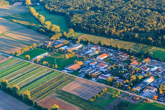 Vue aérienne de Zone industrielle Auf d. Weide avec technologie CNC et d'emballage Bora et service de bateaux CK à le quartier Niederlustadt in Lustadt dans le département Rhénanie-Palatinat, Allemagne