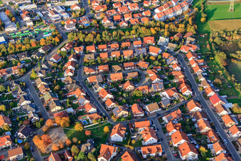 Vue aérienne de Rue Pfarrer-Wetzel à Rülzheim dans le département Rhénanie-Palatinat, Allemagne
