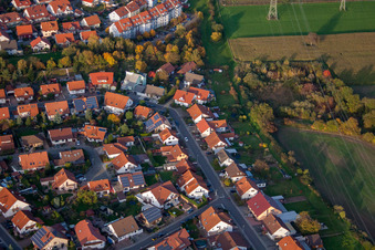 Vue aérienne de Rue Robert-Seither à Rülzheim dans le département Rhénanie-Palatinat, Allemagne