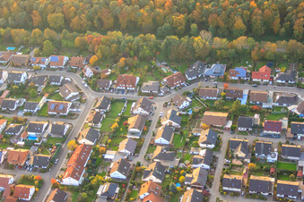 Südring x Pfarrer-Löser-Straße à Rülzheim dans le département Rhénanie-Palatinat, Allemagne depuis l'avion