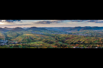 Vue aérienne de Panorama du Palatinat du Sud d'Ilbesheim à Siebeldingen à le quartier Arzheim in Landau in der Pfalz dans le département Rhénanie-Palatinat, Allemagne