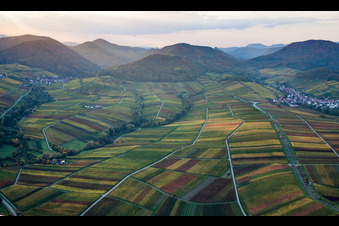 Enregistrement par drone de Ranschbach dans le département Rhénanie-Palatinat, Allemagne