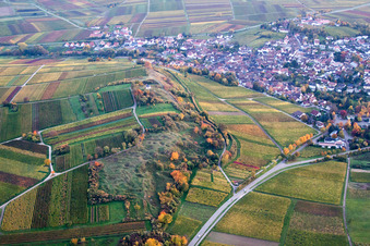 Vue oblique de Petit Kalmit à Ilbesheim bei Landau dans le département Rhénanie-Palatinat, Allemagne