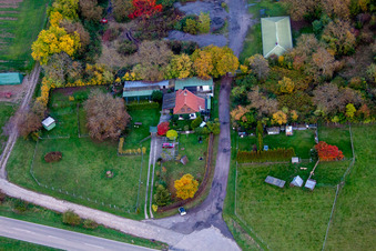 Vue aérienne de Pâturage de moutons près de la forêt à Insheim dans le département Rhénanie-Palatinat, Allemagne
