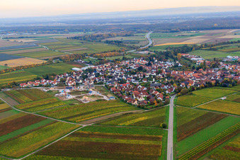 Vue oblique de Vue du nord à Insheim dans le département Rhénanie-Palatinat, Allemagne