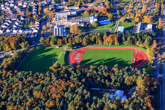 Vue aérienne de Stade du SV Rülzheim 1920 eV à Rülzheim dans le département Rhénanie-Palatinat, Allemagne