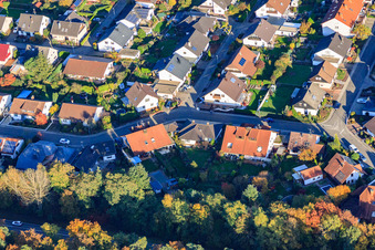 Photographie aérienne de Anneau Sud à Rülzheim dans le département Rhénanie-Palatinat, Allemagne