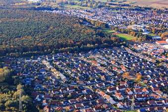 Vue aérienne de Rue Robert-Seither à Rülzheim dans le département Rhénanie-Palatinat, Allemagne