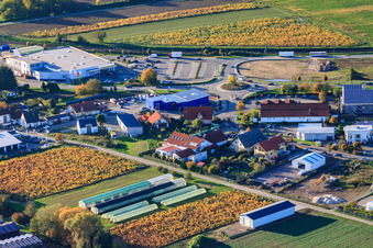 Vue aérienne de Zone commerciale Nordring avec Auto-Grün OHG à Rülzheim dans le département Rhénanie-Palatinat, Allemagne