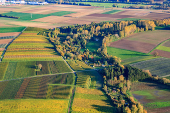 Vue aérienne de Quodbach à Insheim dans le département Rhénanie-Palatinat, Allemagne