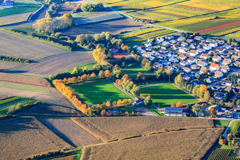 Vue aérienne de Terrains de football du FC1924 Insheim eV à Rohrbach dans le département Rhénanie-Palatinat, Allemagne