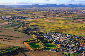 Vue aérienne de Terrains de football FC1924 Insheim eV à Insheim dans le département Rhénanie-Palatinat, Allemagne