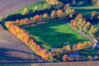 Vue aérienne de Terrains de football du FC1924 Insheim eV à Rohrbach dans le département Rhénanie-Palatinat, Allemagne
