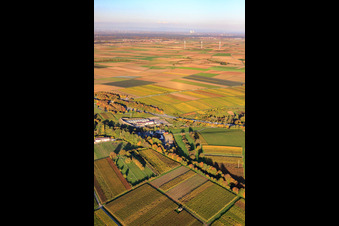 Photographie aérienne de Centrale géothermique devant un parc éolien à Insheim dans le département Rhénanie-Palatinat, Allemagne
