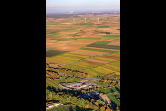 Vue oblique de Centrale géothermique devant un parc éolien à Insheim dans le département Rhénanie-Palatinat, Allemagne
