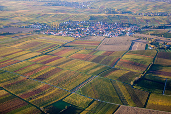 Vue d'oiseau de Quartier Mörzheim in Landau in der Pfalz dans le département Rhénanie-Palatinat, Allemagne