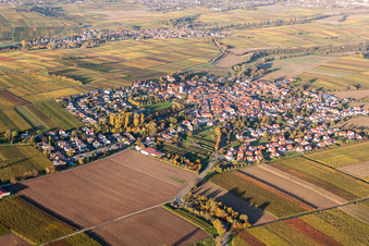 Vue oblique de Vue sur le village à le quartier Mörzheim in Landau in der Pfalz dans le département Rhénanie-Palatinat, Allemagne