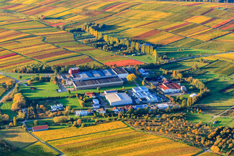 Vue aérienne de Grand domaine viticole Kleine Kalmit / German Wine Gate à Ilbesheim bei Landau dans le département Rhénanie-Palatinat, Allemagne