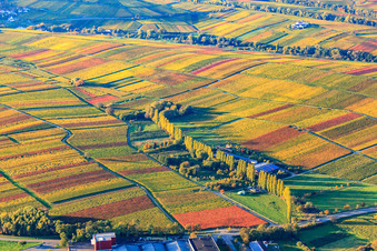Vue aérienne de Aalmühl à Ilbesheim bei Landau dans le département Rhénanie-Palatinat, Allemagne