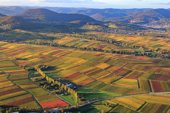Vue aérienne de Aalmühl à Ilbesheim bei Landau dans le département Rhénanie-Palatinat, Allemagne