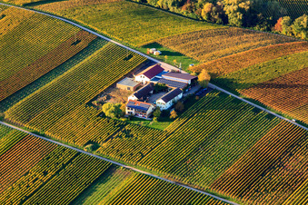 Vue aérienne de Domaine viticole Erlenwein Wacholderstraße à Ilbesheim bei Landau dans le département Rhénanie-Palatinat, Allemagne