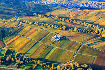 Photographie aérienne de Domaine viticole Erlenwein Wacholderstraße à Ilbesheim bei Landau dans le département Rhénanie-Palatinat, Allemagne